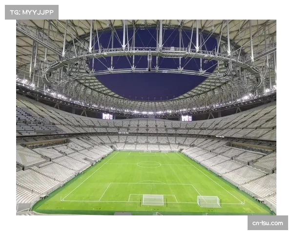 FIFA评估世界杯场馆,人工草皮技术引争议 FIFA评估世界杯场馆,人工草皮技术引争议